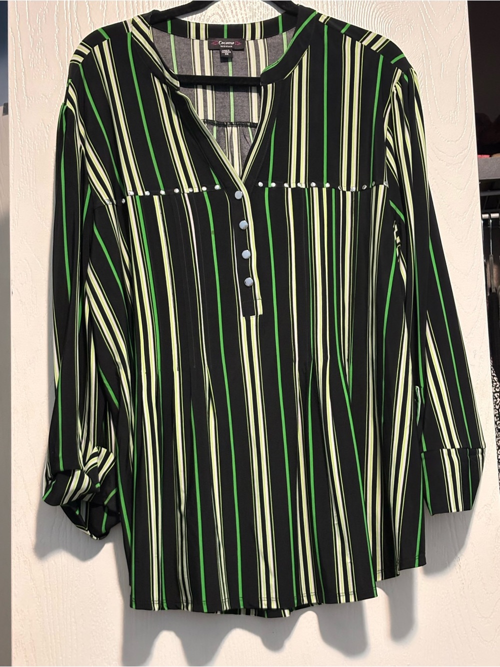 Chaus Striped V-Neck Button Front Blouse in Black and Green